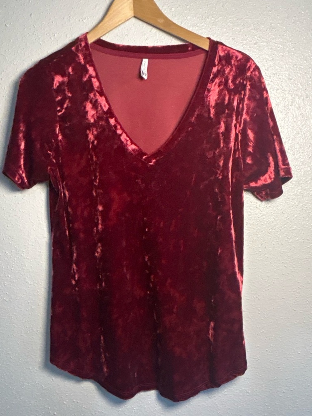 Z Supply Crushed Velvet V-Neck Tee in Wine